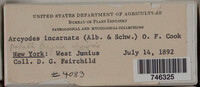 Image Associated With the Occurence